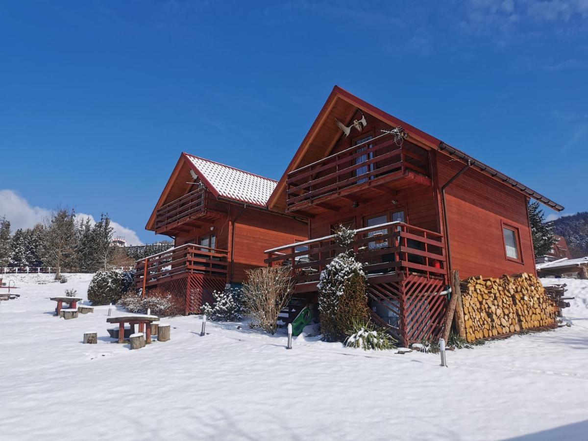 Noclegi Daglezja Pod Gora Zar Miedzybrodzie Zywieckie Exterior photo