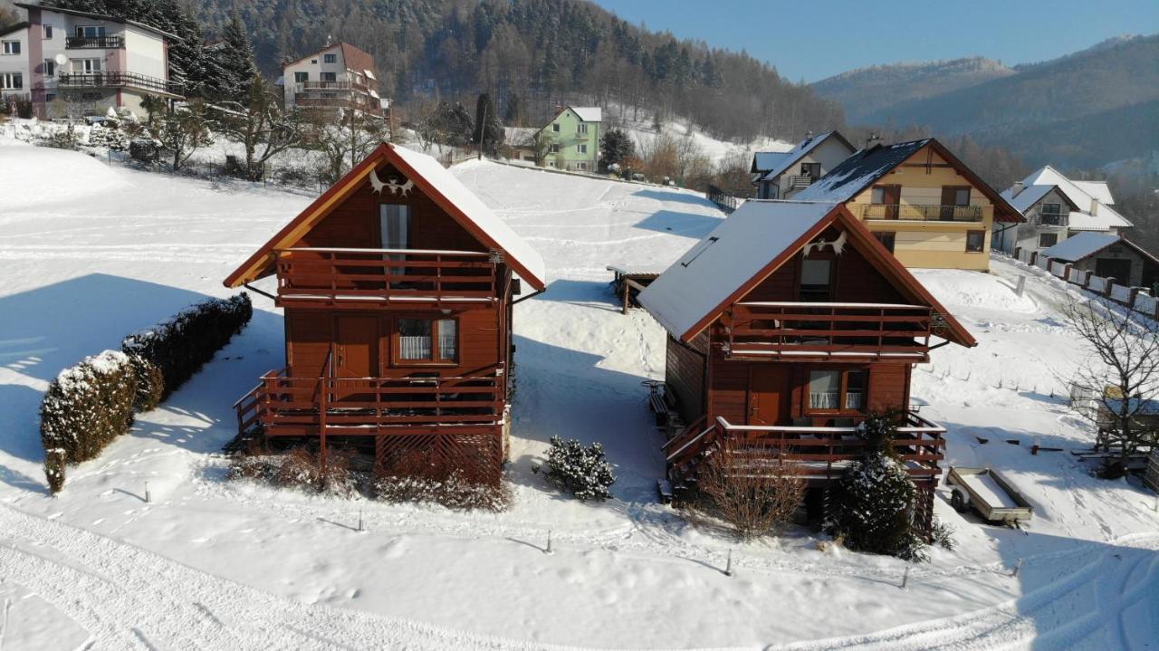 Noclegi Daglezja Pod Gora Zar Miedzybrodzie Zywieckie Exterior photo